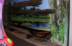 Wall Mural