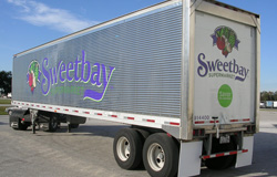 Sweetbay Wrap